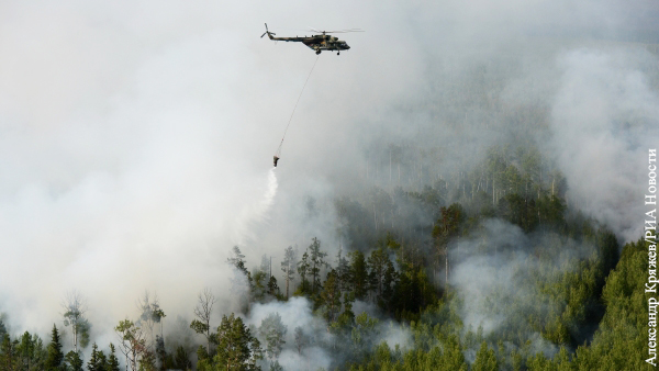 Власти регионов России обвинили в искажении статистики по лесным пожарам