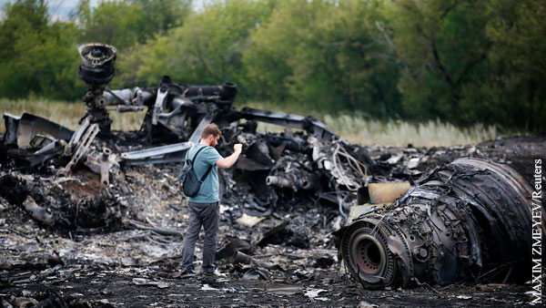 Немецкий детектив собрался обнародовать причины катастрофы MH17 в Донбассе