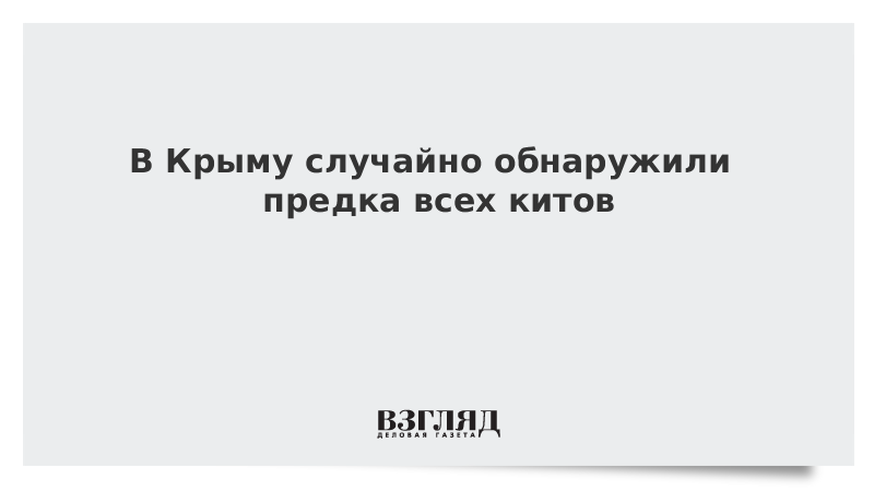В Крыму случайно обнаружили предка всех китов