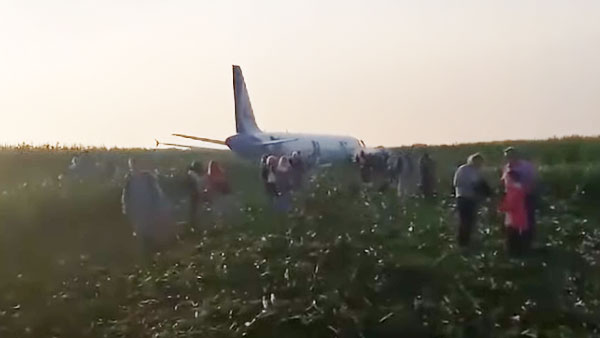 При посадке самолета в поле возле Жуковского пострадали 23 человека