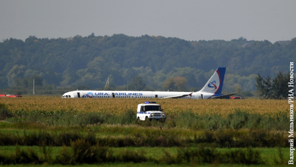 Пассажиры севшего в поле под Жуковским самолета рассказали подробности ЧП