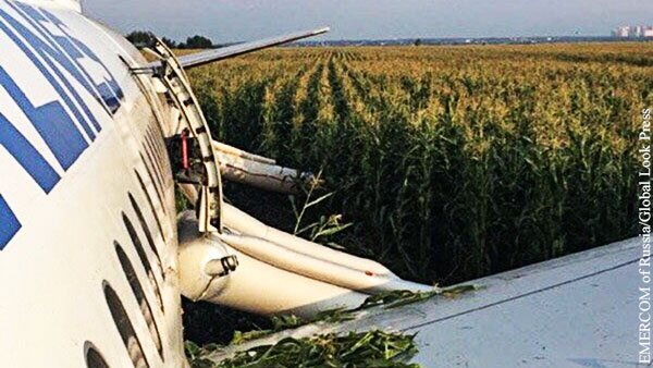 Определена судьба севшего на кукурузное поле самолета