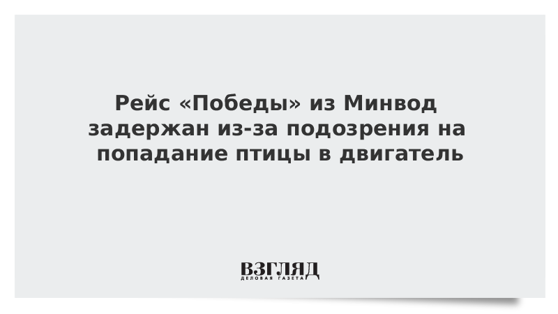 Рейс Победы из Минвод задержан из-за подозрения на попадание птицы в двигатель