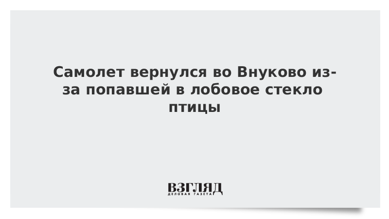Самолет вернулся во Внуково из-за попавшей в лобовое стекло птицы