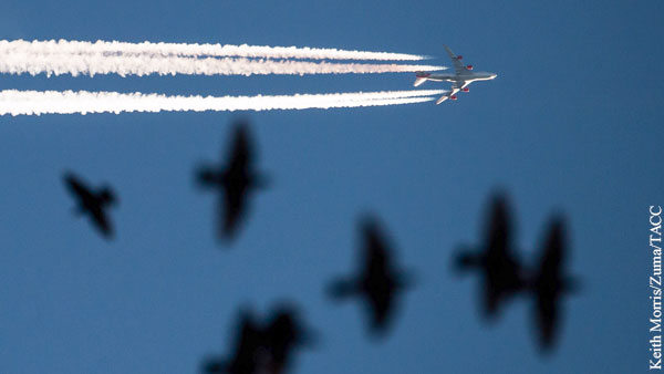 Минтранс заявил о невозможности полностью обезопасить самолеты от птиц