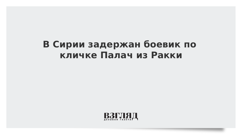 В Сирии задержан боевик по кличке Палач из Ракки