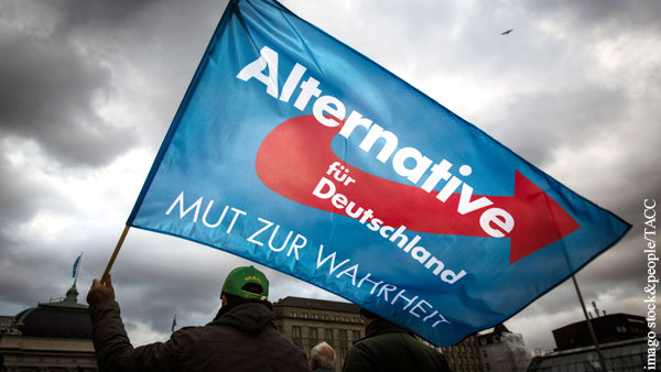 Немецкий политолог отметил серьезное усиление позиций «Альтернативы для Германии»