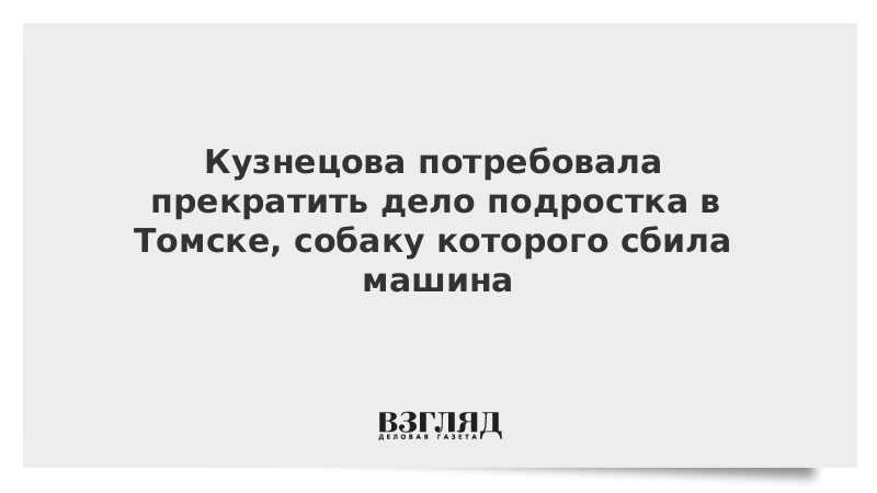 Кузнецова потребовала прекратить дело подростка в Томске, собаку которого сбила машина