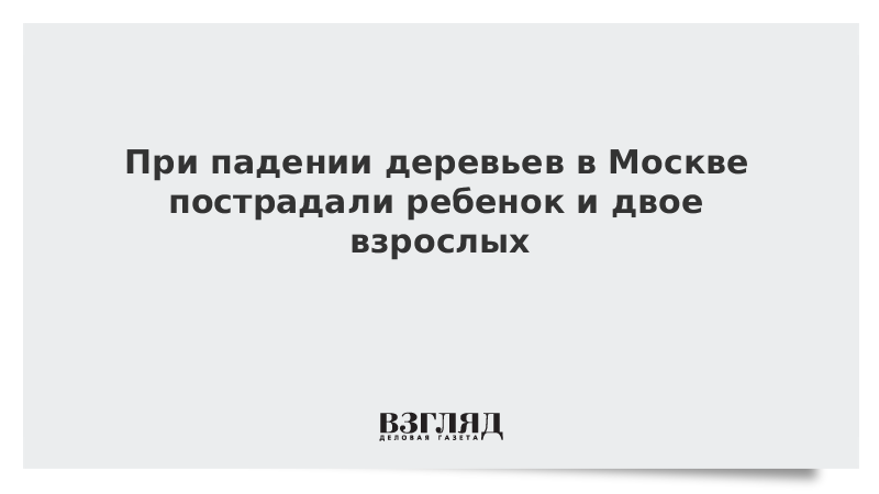 Поведение при падении дерева на человека. Поведение при падении дерева на человека