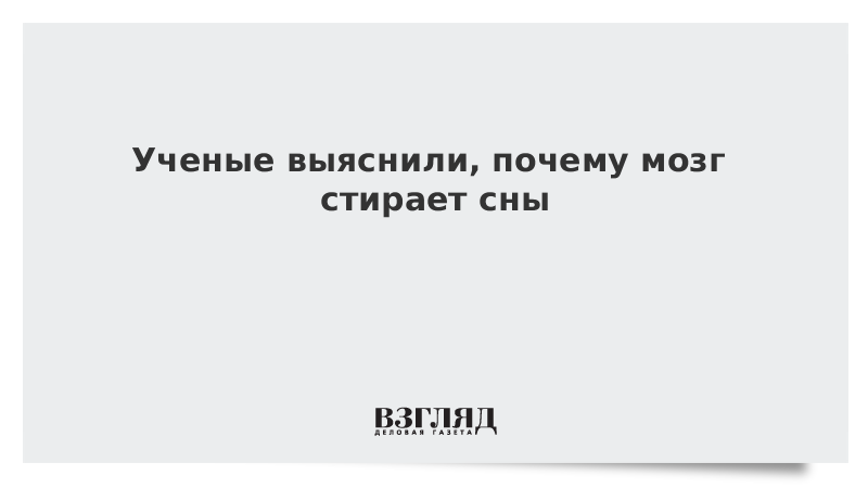 Мозги пахнут ванилью правда ли. Мозг пахнет ванилью. Как пахнут мозги. Почему от человеческого мозга пахнет ванилью.