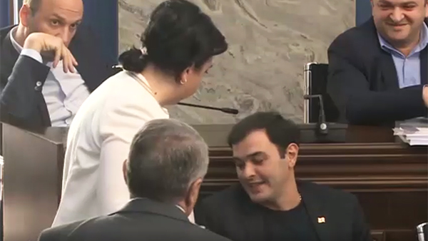 Женщина-депутат напала на коллегу в парламенте Грузии